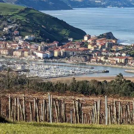 Apartamento Basque Alai